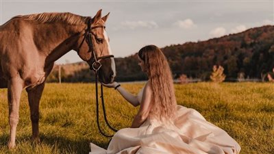 Understanding Your Horse’s Digestive System