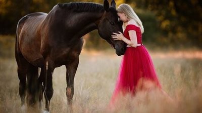 Chincoteague Ponies in the Fall