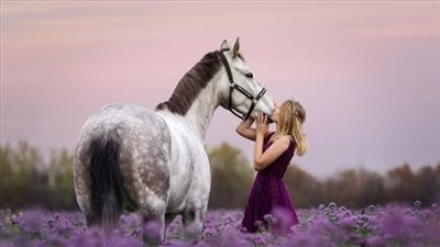 Calming a Hot Horse