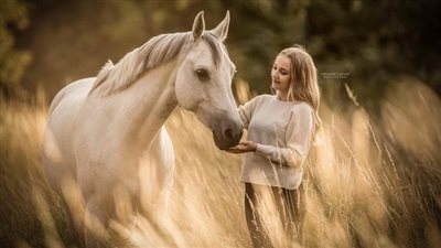 Healthy Horse Treat Recipe
