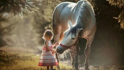 Horse Career: Barn Manager