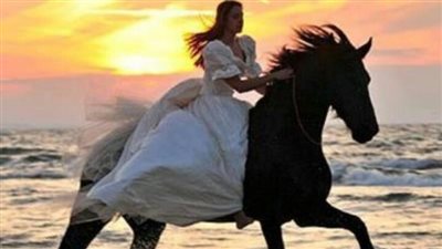 Spring Horse Health Check