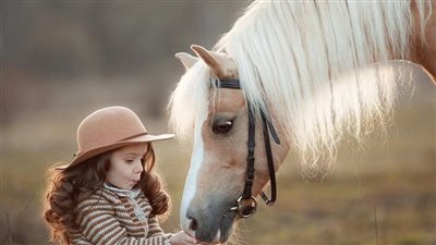 How to Find a Kid’s First Horse