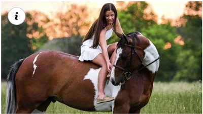Embracing Elegance: The Enchanting Harmony of Beautiful Horses and Riders  ‎