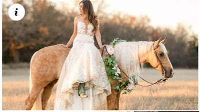 Elegance and Romance: Incorporating Horses into Wedding Celebrations ‎