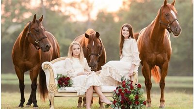 Meet Horse Fiction Writer Catherine Hapka