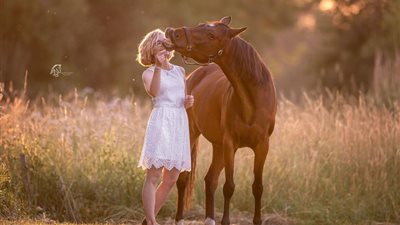 Rules to Feed a Horse