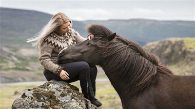 Summer Horse Care
