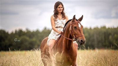 How to Cool Out Your Horse After a Ride
