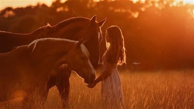 Maintain your horse at a healthy weight