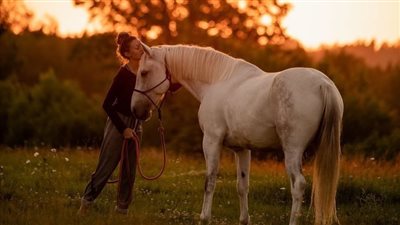 A Lesson In Horse Sense