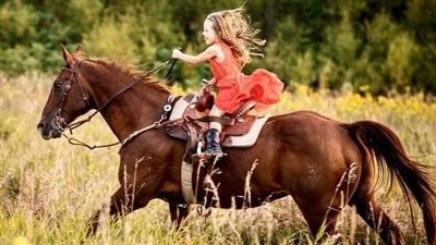 A Lesson In Horse Sense
