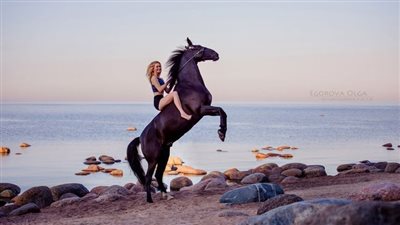 A Lesson In Horse Sense