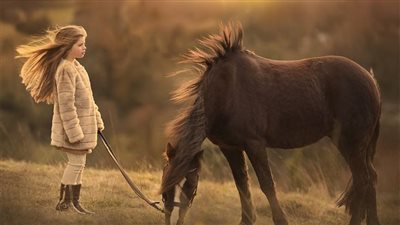 Sick Feral Foals Recover Thanks To Dedicated Team Effort
