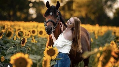 Dollar Store Finds: For Grooming Your Horse