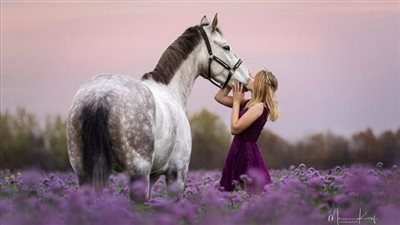 The Facts About Sand Colic In Horses