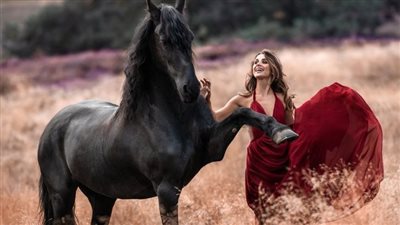 Equine Eye Care