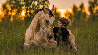 Is my horse a Headshaker?