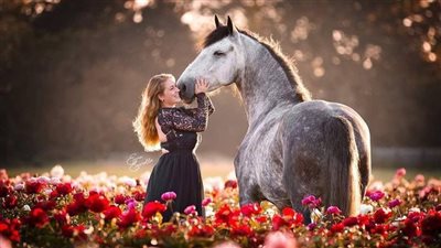 How to measure your horse’s weight