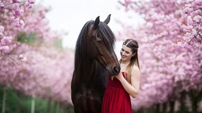 Top tips on how to feed horses with laminitis