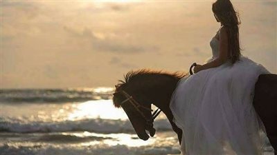 Finding the right riding school