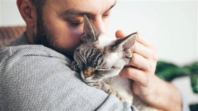 DO CATS FEEL LOVE?