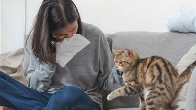 CAN YOU DEVELOP AN ALLERGY TO CATS?