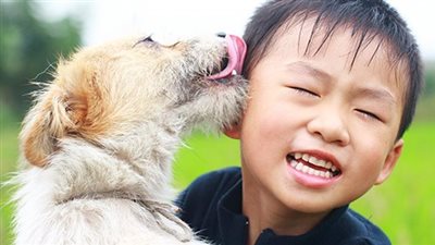 How to Stop Your Dog From Fearing Men