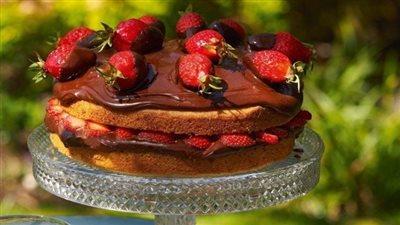 Chocolate and strawberry cake