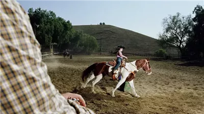 Learn the Best Age For Your First Horse