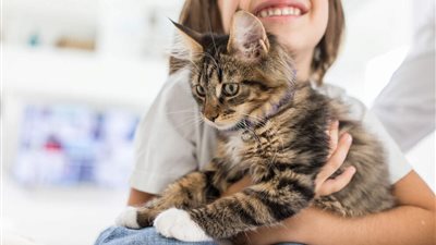 TOP 10 TIPS FOR NEW CAT OWNERS
