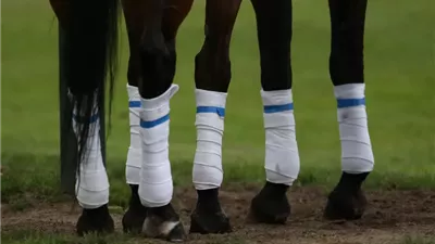Choosing Leg Wraps or Bandages