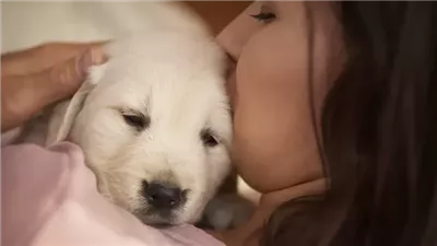 When Is the Best Time of Year To Get a Puppy?
