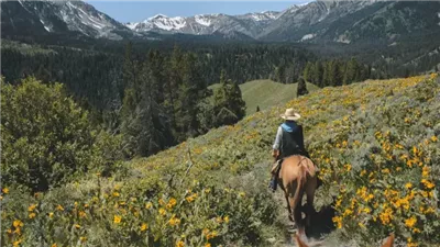 Summer Riding: How to Ride Safely in the Heat