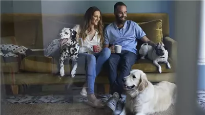 How to Choose the Right Dog for You