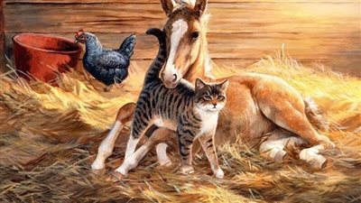 Capturing the Remarkable Moment: A Review of a Mother Horse Giving Birth ‎