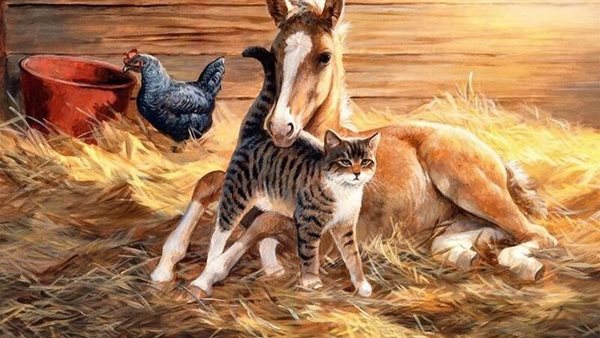 موقع أيام نيوز