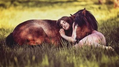 The Intimate Bond Between Horses and Their Human Companions: Nurturing a Lifelong Connection ‎