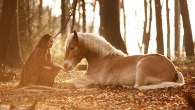 Be sand colic savvy