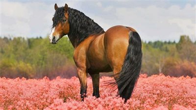 Eight tips for Springtime