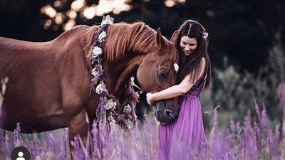 The Intimate Bond Between Horses and Their Human Companions: Nurturing a Lifelong Connection   ‎