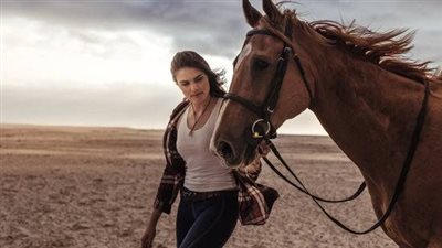 How to Train Your Horse's Mane to Lie Flat on One Sid