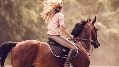 Locked Stifle Joints in Horses