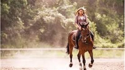 Arthritis in Horses