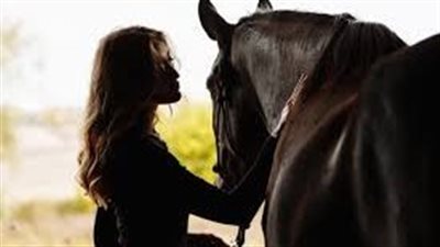Grease Heel in Horses