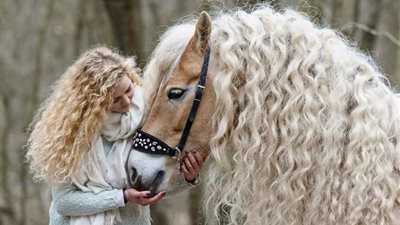The Enduring Bond Between Humans and Horses: A Harmony of Trust and Companionship  ‎