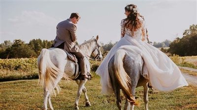 Tying the Knot in Equestrian Elegance: A Memorable Horse Wedding Ceremony  ‎