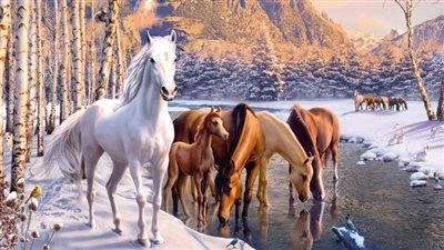Nurturing Nature: Understanding the Unbreakable Maternal Bond of Horses 