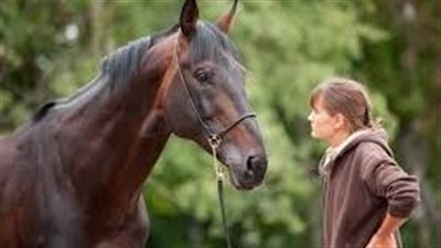 How to Train Your Horse's Mane to Lie Flat on One Side