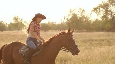 The Basics of Training a Horse